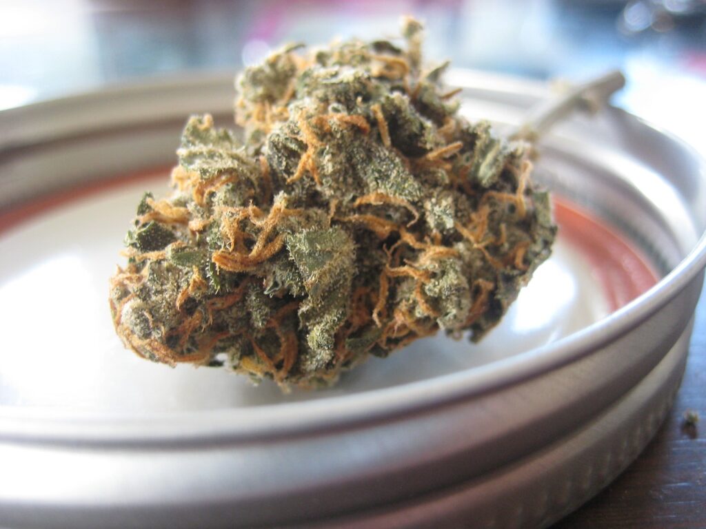 Was is the Main Ingredient in Marijuana?